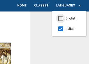 How it works/Front-end features/Languages selection.jpg