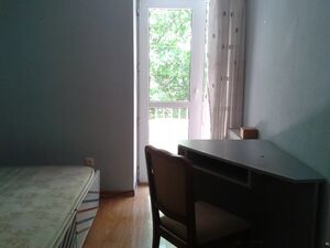 Istituto cultura italiana (NGO)/EVS-ESC/20200705 133011.jpg